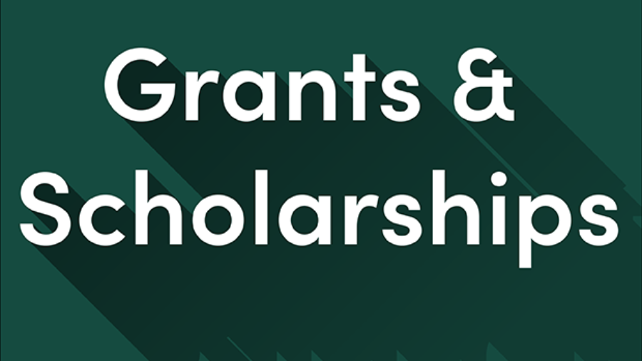 grants-scholarships