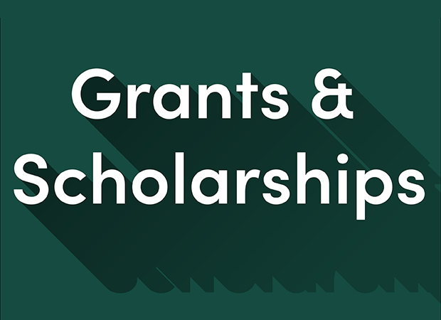 what is the difference between a scholarship and a grant
